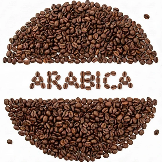 دان قهوه عربیکا (برزیل ریو) 